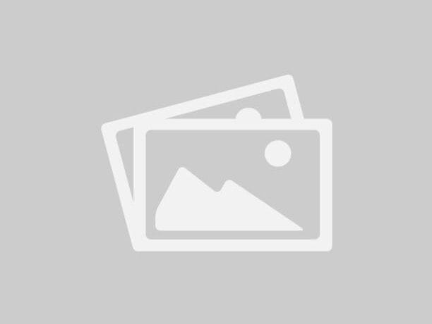 Vector graphic of no thumbnail symbol